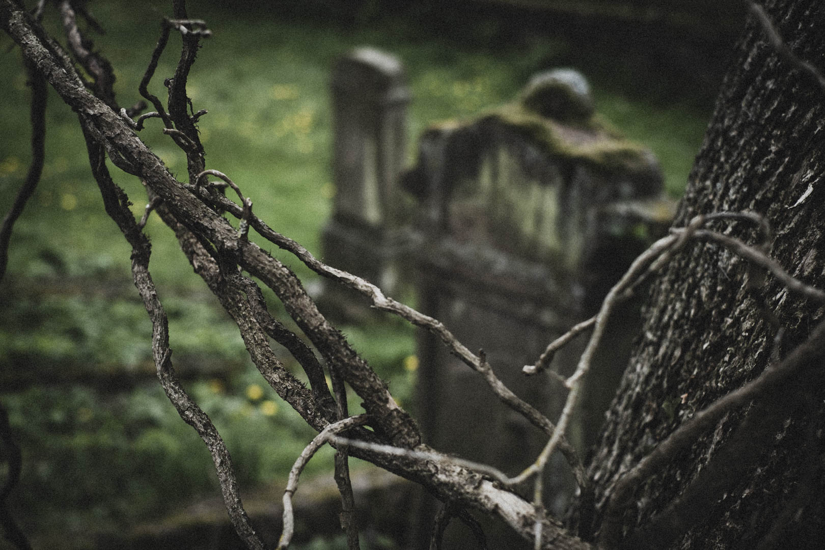 Borgholz, Jüdischer Friedhof